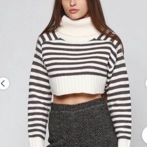 Zara Striped Cropped Turtleneck Sweater